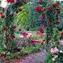 @salmahhussain7956