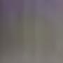 @유담홀릭