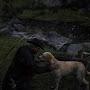 @progamergtaexpert4112