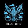 @Blue_Bird_drones