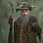 @radagastthebrown578