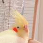 @熒イン