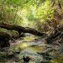 @Creek_Lifers