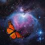 @Astrostars2025