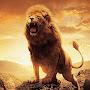 @successlife1007