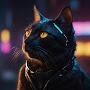 @CatalysedCat
