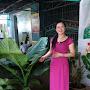 @LoanTran-uo4wk