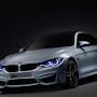 @vladimirhorn8598