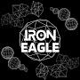 @ironeagle9096