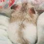 @쎈치-b5y