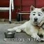 @응아니야-b9w