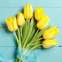 @mongsiltulip7749