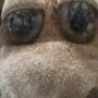 @franksyoutubechannel