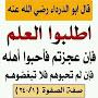 @amalbenhachem7131
