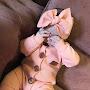 @عيناللهترعاني-ك5ه