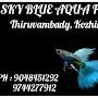 @skyblueaquafarmsky___blue_8518