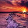 @_svetlana_5190