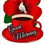 @birendrayahoo1550