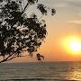 @abolfazl6558
