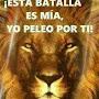 @elvinpinales1704