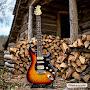 @GuitarsSelo