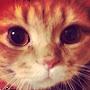 @MrHappyCat