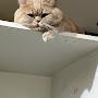 @hilla-n9u