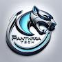 @PANTHAREXPLAIN
