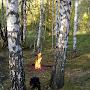 @Демен