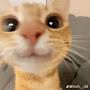 @eeeeeeeeeeeeeeeeeeeee9531
