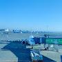 @gogo-q2m9d