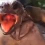 @TurtleNotHere