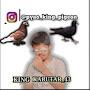@MustakKabutarBaaz