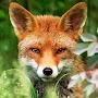 @abuser-ex5be2gm7