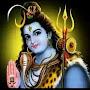 @dineshtiwari7896