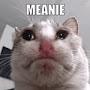 @happycat-p4e