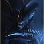@kingxenomorph4702