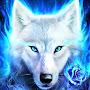 @The_Asthetic_Wolf