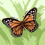 @ButterFly-jm2fb