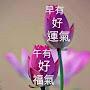 @Anges1997