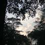 @amilcarescobedo1193