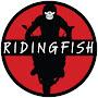 @Ridingfish