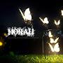 @Monali_456