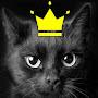 @catkingdemonized7103
