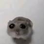 @Mightymouse-o7t