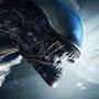 @wildxenomorph7675