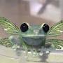 @froggyland69