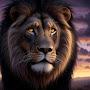 @Black-Lion7