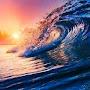 @Wendy2698-b6p