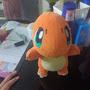 @Charmander_char1777